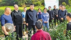 BB电子·(中国区)试玩平台-BB电子游戏官网