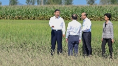 BB电子·(中国区)试玩平台-BB电子游戏官网