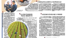 BB电子·(中国区)试玩平台-BB电子游戏官网